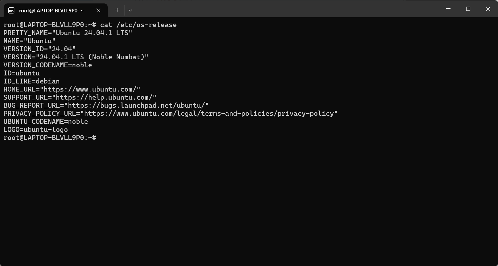 windows_for_vllm5.png